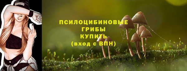 марки lsd Горняк