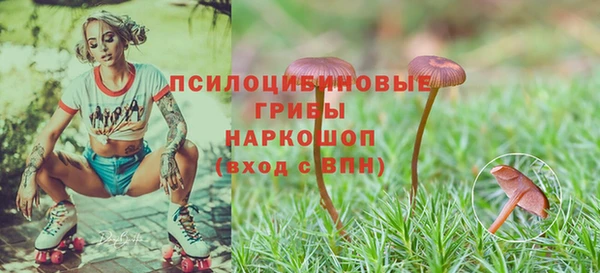 марки lsd Горняк