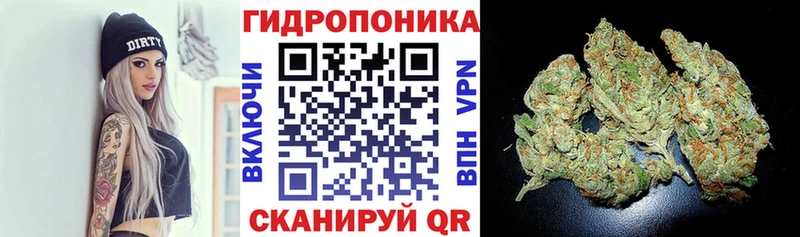 сколько стоит  Миасс  Конопля ГИДРОПОН 